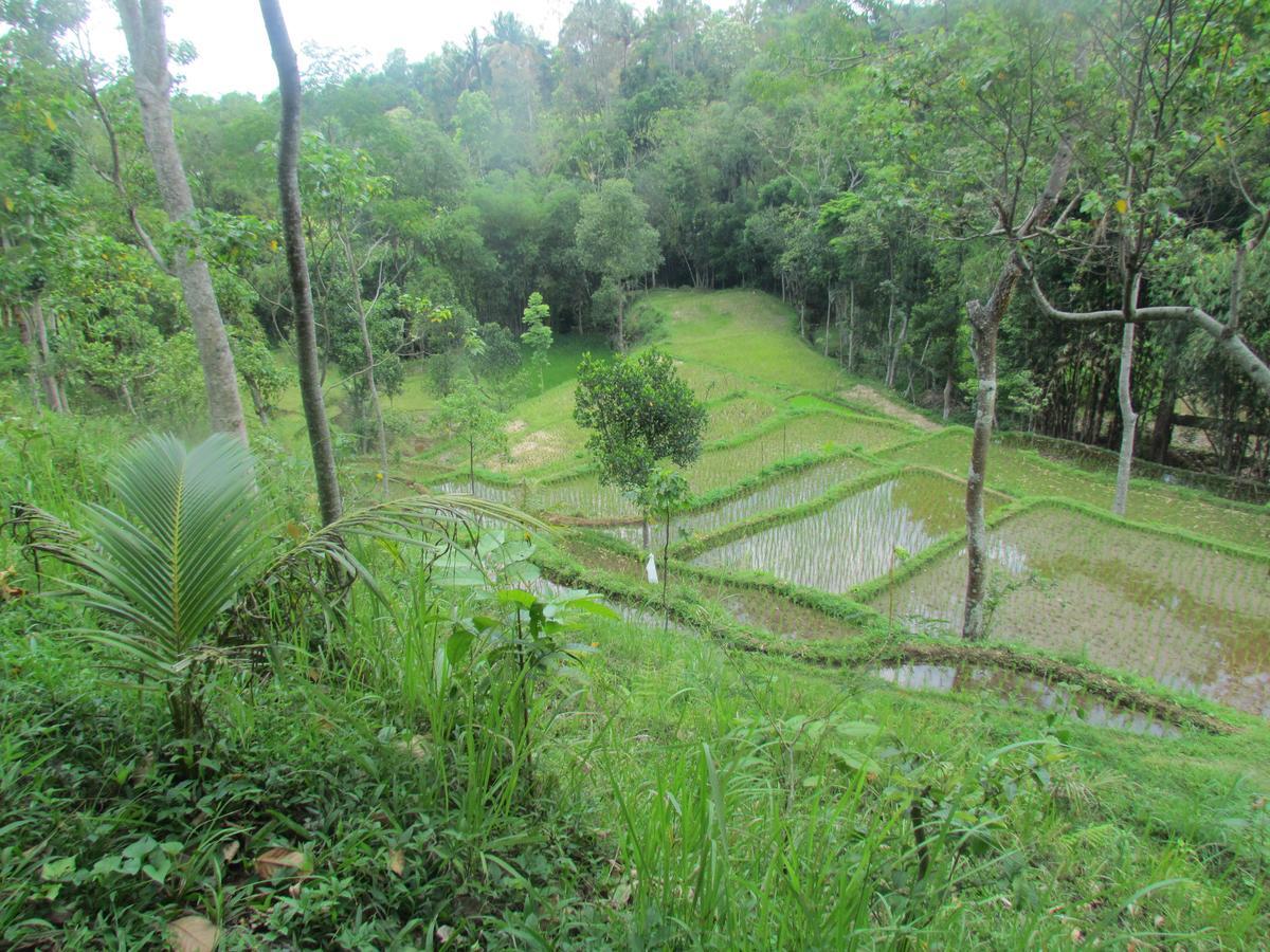 Tetebatu Terrace Homestay Exterior photo
